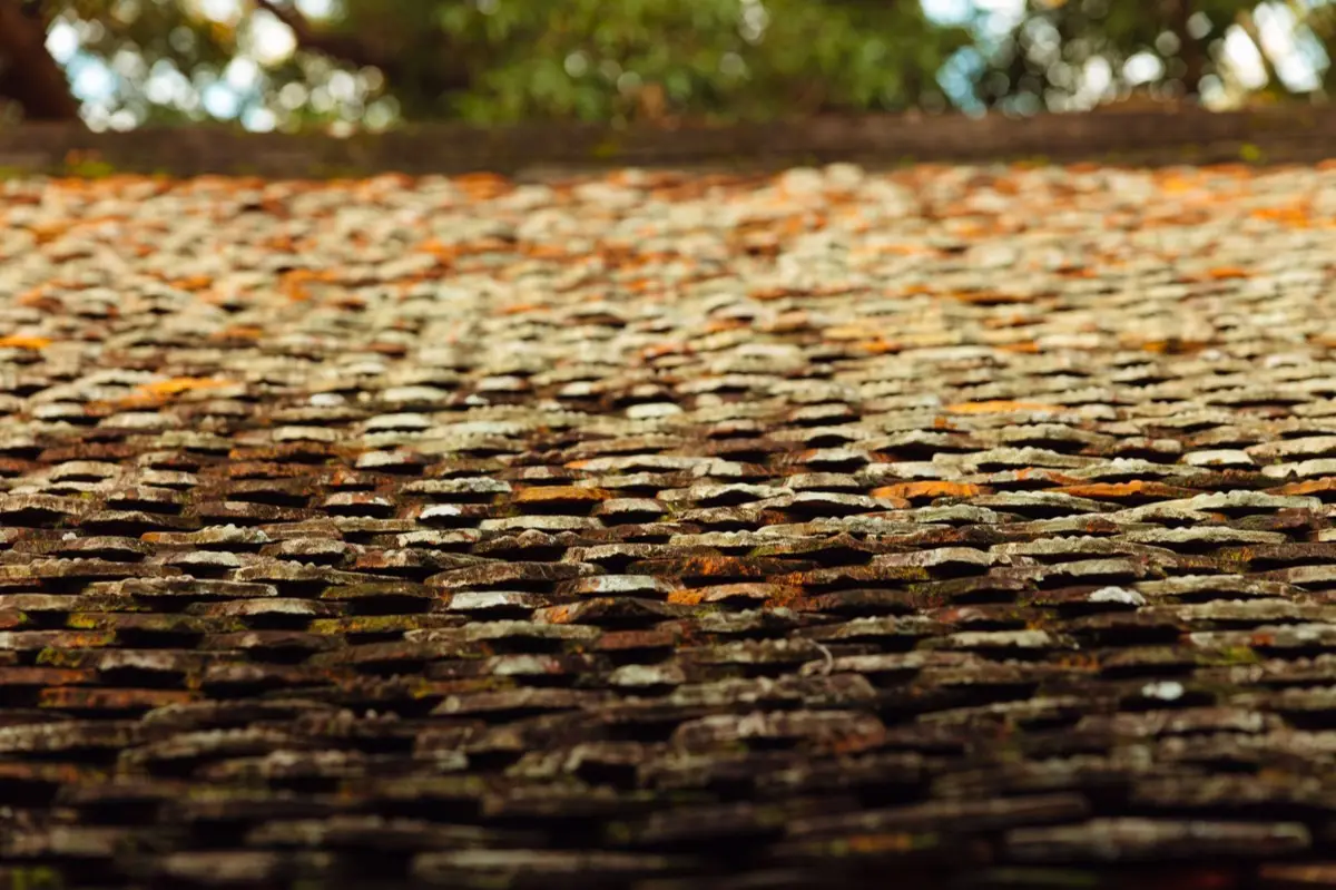 Roof Leak Repair & Source Tracing in Edinburg, TX